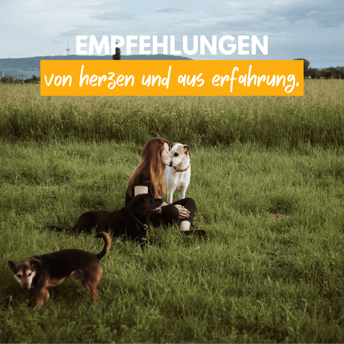 navi_weserschnuten_hundetraining_empfehlungen_minden_tablet_mobile