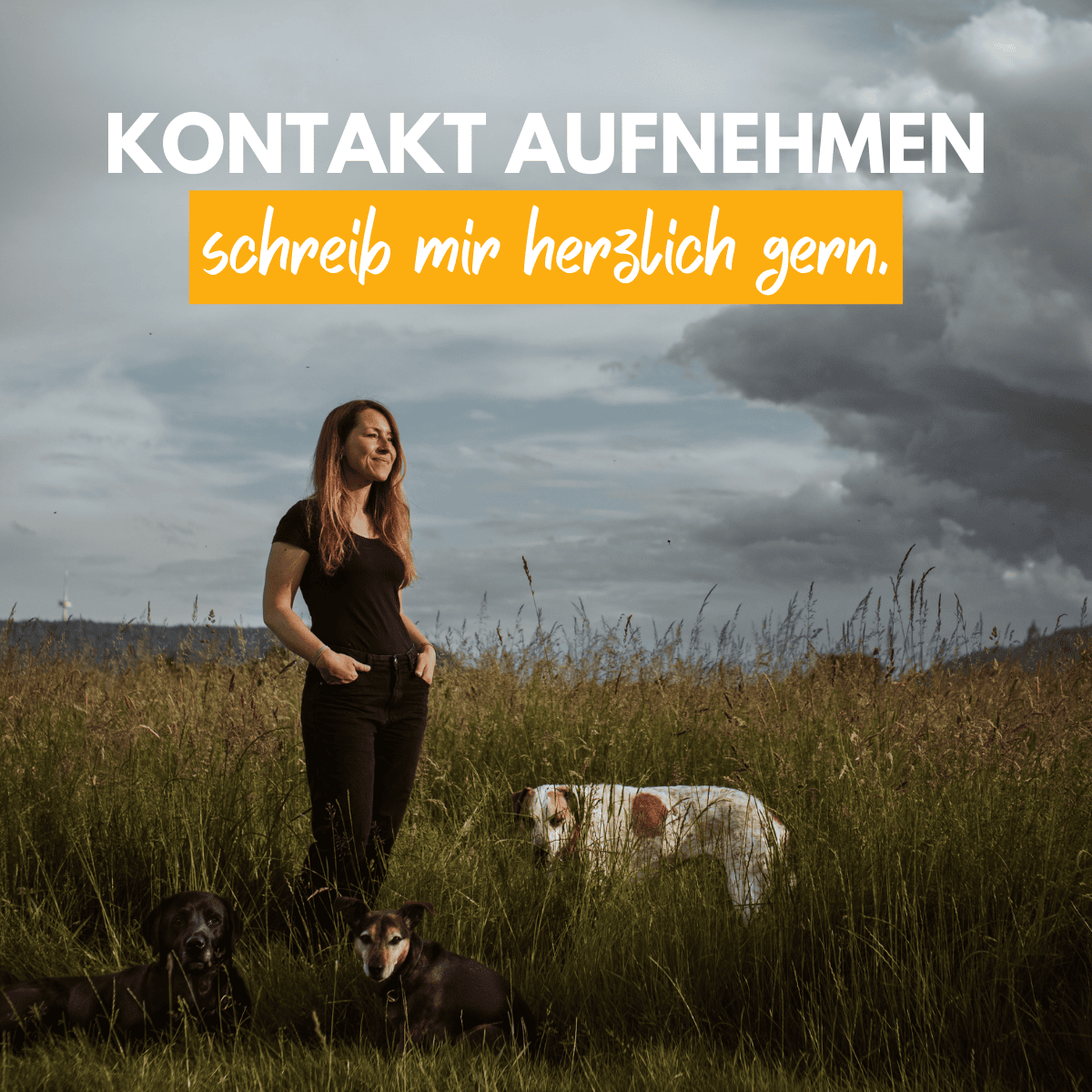 navi_weserschnuten_hundetraining_kontakt_minden_tablet_mobile